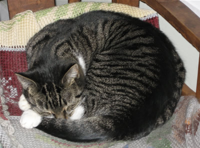 martini sleeping