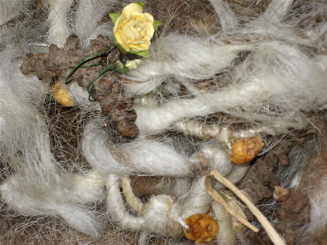 linda scharf handspun yarn/stoneleafmoon.com